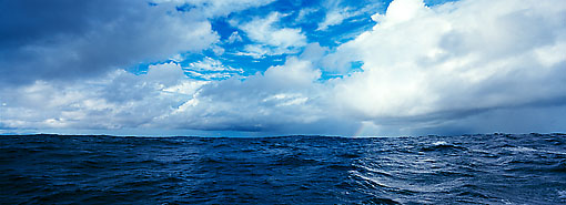 Michael Berman Photography